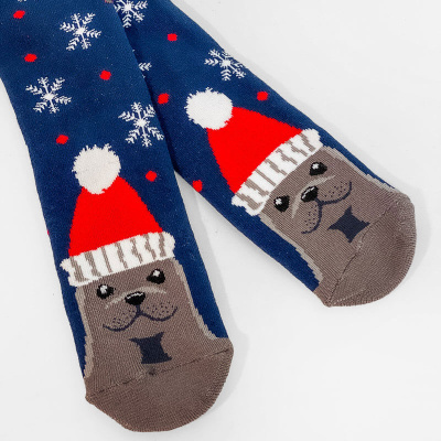 Σετ Δώρου Χριστουγεννιάτικες Κάλτσες 2 Ζεύγη 1750030 Πολύχρωμο